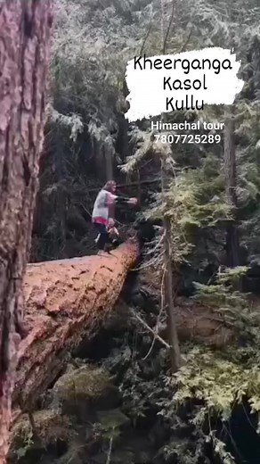 18K views · 132 reactions | Himachal Pradesh | INDIA Travel Tourism | Facebook