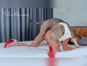 Decadent party where canine violence reigns: Veronica Silesto undergoes raw penetration | Bestiality