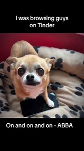 Finding love…？ Aghhh #date #dating #datenight #love #lookingforyou #lookingforlove #tinderpartner #tinderdate #tinderchallenge #tinder #tinderinreallife #tinderswindler #datestory #chi #chihuahua #abba #onandonandon #chihuahu (7303153088481725729) | destinyschis
