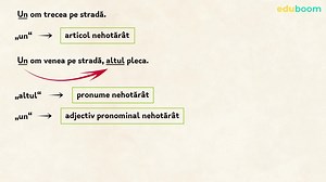 Numeralul. Exerciții. Limba și literatura română clasa a 7-a