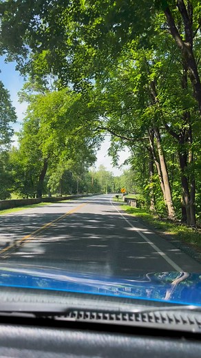 2.8K views · 111 reactions | Saludos desde Kingston, NY | Aroddy | Facebook