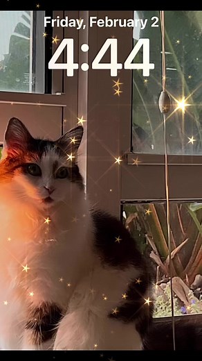 Schumann Resonance on Reels