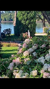 Autumn tints in my Maine gardens #heirloomgardener | The Heirloom Gardener - John Forti