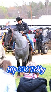 4.2K views · 19 reactions | Dixie Horse Auction on Reels | Facebook