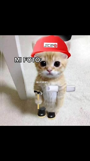 Esteban Urbano on TikTok