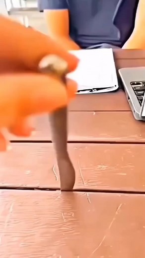 Exploring National Symbols and Their Significance