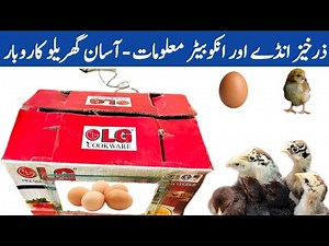 Fertile Eggs Handling and Incubator information | Small Scale Business Idea | Dr. ARSHAD