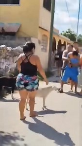 #BECAL | ¡ADULTA MAYOR GOLPEADA BRUTALMENTE POR UN CHAMACO EN BECAL CAMPECHE! Durante la tarde del día de hoy Lunes 3 de Marzo del 2025 comenzó a circular un vídeo en donde se ve claramente como un sujeto golpea abruptamente a una persona de la tercera edad. Los testigos del hecho mencionan que se suscitó cuando un sujeto de sexo masculino golpea a otro aparentemente "enfermo" por lo que la señora de la tercera edad interfiere dejando como consecuencia la brutal golpiza. Las víctimas procedieron