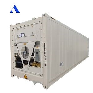 [Hot Item] 40FT Deep Freezer Cold Storage Container Reefer Container