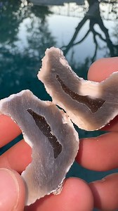 2.4K views · 62 reactions | Which Coral Geodes your fave?視#geode #crystals #minerals #coral #Fossils | CoralGeodes | Facebook