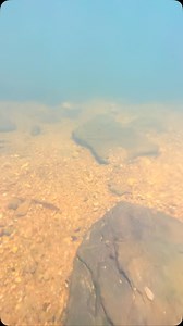 Avocat waterfall Trinidad 🇹🇹 #nature #naturephotography #naturelovers #landscape #wildlife #travelphotography #hiking #adventure #sunset #beautifuldestinations #trinidadandtobago #naturenerdstt #caribbean | Nature Nerds TT