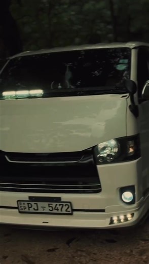 🤩✅ Sri Lankan Van Pisso SLVP #slvpmember #slvp | Sri Lankan Van Pisso SLVP