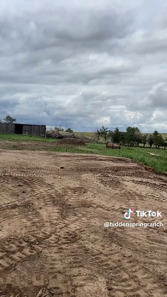 Nick Nowak on TikTok