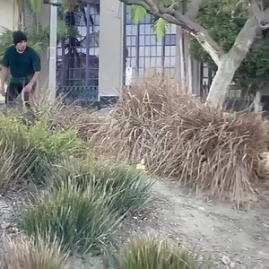 @moose805 🔥🔥🔥 🎥 @nkavids #osiris #osirisshoes #osirisskateboarding #osirisrex #nollieheel | Osiris Shoes