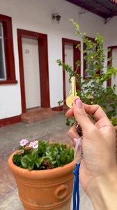 Lourdes Hotel Campestre on Reels