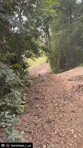 Press our link to our webpage at Bansheeapparel.net for all of your Banshee Gear or Accessories #yamahabanshee #banshee #rolldesign #bansheeapparel #banshee350 #2strokes #twostrokes #atvs #raptorkillers #yzf450killers #quadzillakiller #mixingashaulinass #350twin #trailriding #ported #leecounty #fortmyers #batonrouge #blackowned #minorityowned #2strokes4life #capecoral #southflorida #twostrokin #onlineshopping #twostrokeaccessories #graphickits #bansheegrills #lockoutclutch #leecounty #bansheelif