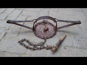 Best Trap for Coyote - Setting a Coyote Trap