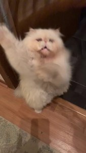 15 reactions | Pierre on Reels | Facebook