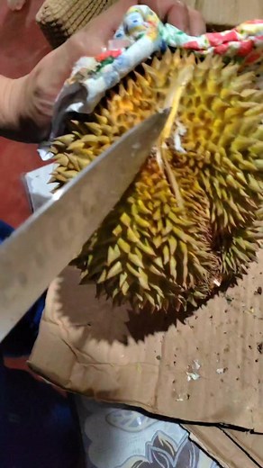 1.4K views · 35 reactions | Durian Time!!  #durian #durianlovers #durianfruit #durianfeast | Sea-Emman Vlog | Facebook