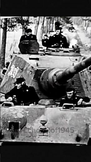 Inside the Beast: Tiger II Crew in Action 🇩🇪