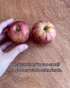 Our customers have saved over 167 million pounds of food! Use code SAVE20X4 at checkout for up to $80 in free groceries. | Imperfect Foods