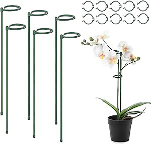 Plant Stakes, MIALEXO 6Pcs Green Stakes Plant Support Stick with Ring. Plant Support Stakes Suitable for Planting Potted Plants Such as Flowers Tomato Peony Lily Rose (18-inches)