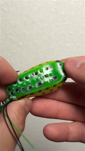 Is This $2 Walmart Frog a SCAM? (Teaser)
