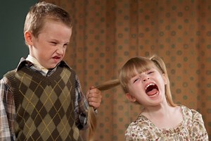 Are there differences between male and female bullies?