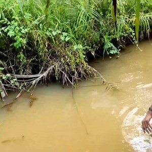 674K views · 5.9K reactions | Tajur Botol Dapat Ikan Gabus Babon Penghuni Parit | Adytia Fishing | Facebook