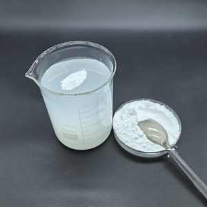 [Hot Item] High Quality Nano Zirconium Dioxide Zro2 Powder 20-30nm for Dental Ceramics