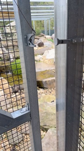 Morning On The Ranch 🤠🦦 | Blake's Exotic Animal Ranch