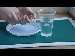 Спостереження і дослідження фотосинтезу з використанням плаваючих листових дисків