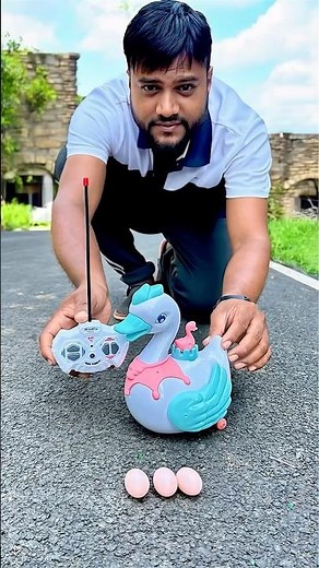 Naya RC Egg Laying Duck 🦆 unboxing & testing 😅