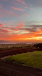 22K views · 1K reactions | beautiful sunset on the Little Plumeria Farms tonight. | Clark Little | Facebook
