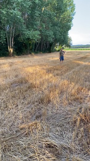 Toni_falconry on TikTok