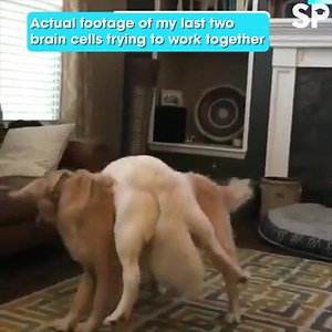 Come on guys, we can do this 🤦‍♀️ | The Tab