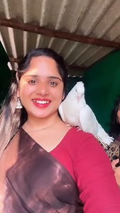 8.4K views · 2.1K reactions | # #pavuram #﫶 | Tanuja Tanu | Facebook