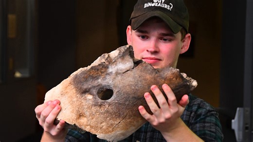 Fossil Fanatic: Eau Gallie High School grad builds rep as a dinosaur 'wunderkind'