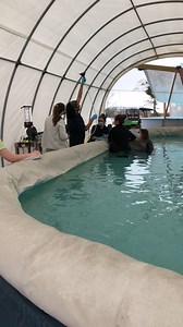 Happy Friday! We wanted to share an update on the baby dolphin rescued last Sunday. He is still in critical condition but is now responding well to staff. MSU-CVM staff along with IMMS staff are now able to feed the baby “dolphin milk”. This specialized formula is supplemented with Menhaden fish oil, generously provided by Omega Protein, Inc. of Moss Point. We are continuing his round the clock care, and we thank everyone for their support. | The Institute for Marine Mammal Studies