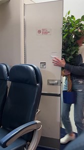 Girl brings tree on a plane | Stacy Wind