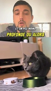 89K views · 554 reactions | Lolcat on Reels | Facebook