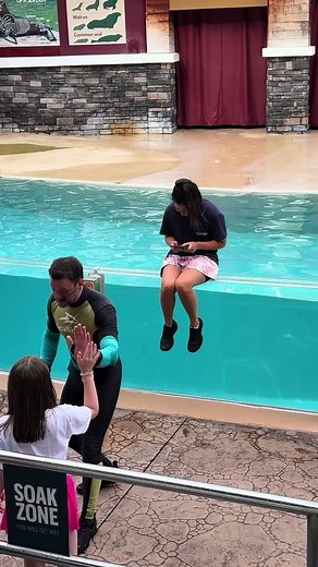 Sea Lions Tonight at SeaWorld Orlando — Sea Lion Rewind