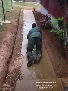 JDF female in training | Mobay Tory - MBT