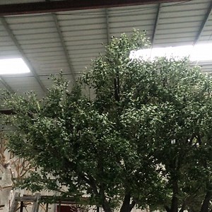 Large Olive Artificial Tree Trunk Naturally Decorative Element for Home or Wedding for Supermarket Display