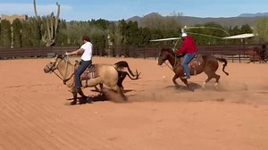 Bigreach lessons available timingortrap?! Shopbigreach.com #bigreach #NFR #westernwear #teamroper #ropinglessons #cowboys #rodeo #rodeohouston #ropingclinic #arizonaroping #morristown #wickenburg #scottsdale #cavecreek #texasroping #texas #usware #timingortrap | Camish Jennings