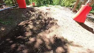 All set for qualifying 🥳 | Jono Jones