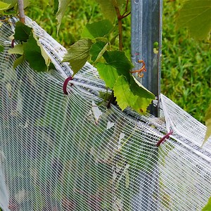 100% High Density Polyethylene Fishing Net Mesh Anti-Bird Net Bird Cage Net Price