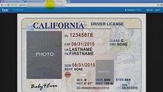 Drivers Licence Id Template