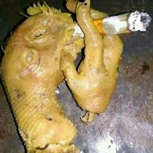 Pecinta Stw @pasurtihot - Twitter Profile