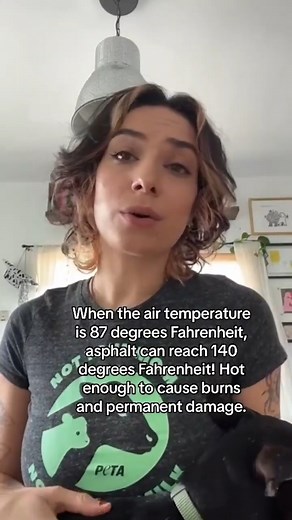 Dogs get hot in the summer too 🥵 Make sure you know how to keep them comfortable and safe in hot weather! #NationalHeatAwarenessDay | PETA (People for the Ethical Treatment of Animals)